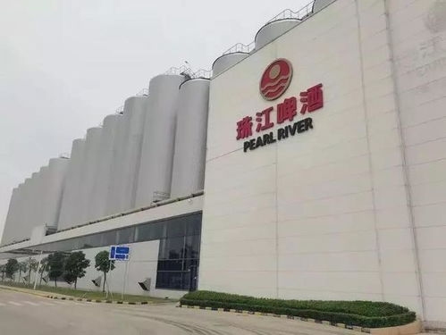 南沙崛起 廣州下一個琶醍，商務(wù)信息咨詢新機(jī)遇