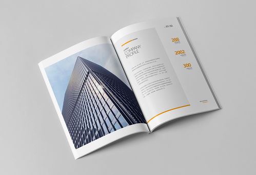 簡約大氣，專業信賴 商務咨詢與投資企業公司畫冊